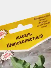 Семена Щавель "Широколистный"