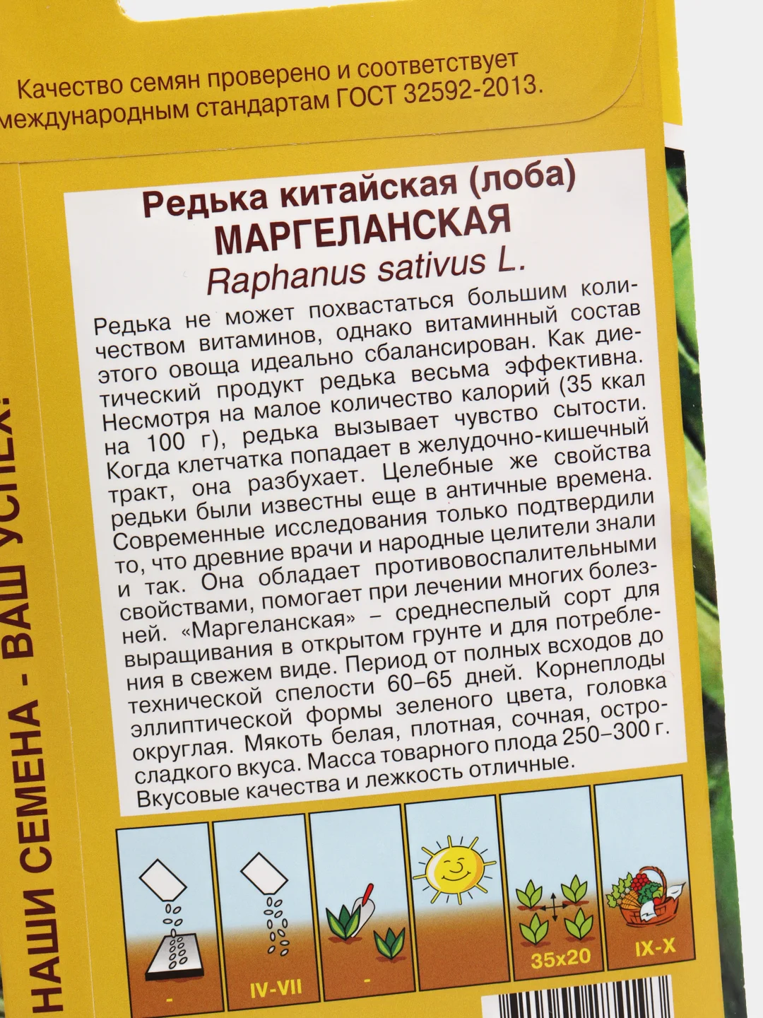 Семена, редька китайская (лоба) "Маргеланская"