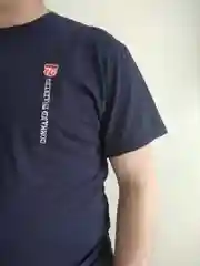 Синий футболка мужская Хлопок 100% Onstyle