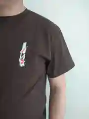 Тёмно-коричневый футболка мужская Хлопок 100% Onstyle