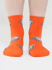 Оранжевый носки женские, с принтом
