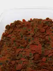 Корм Tetra "TetraPRO Energy Multi-Crisps"  (чипсы) премиум, для всех видов тропических рыб