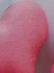 Коралловый меланж пакет подарочный