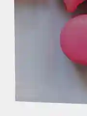 Коралловый меланж пакет подарочный