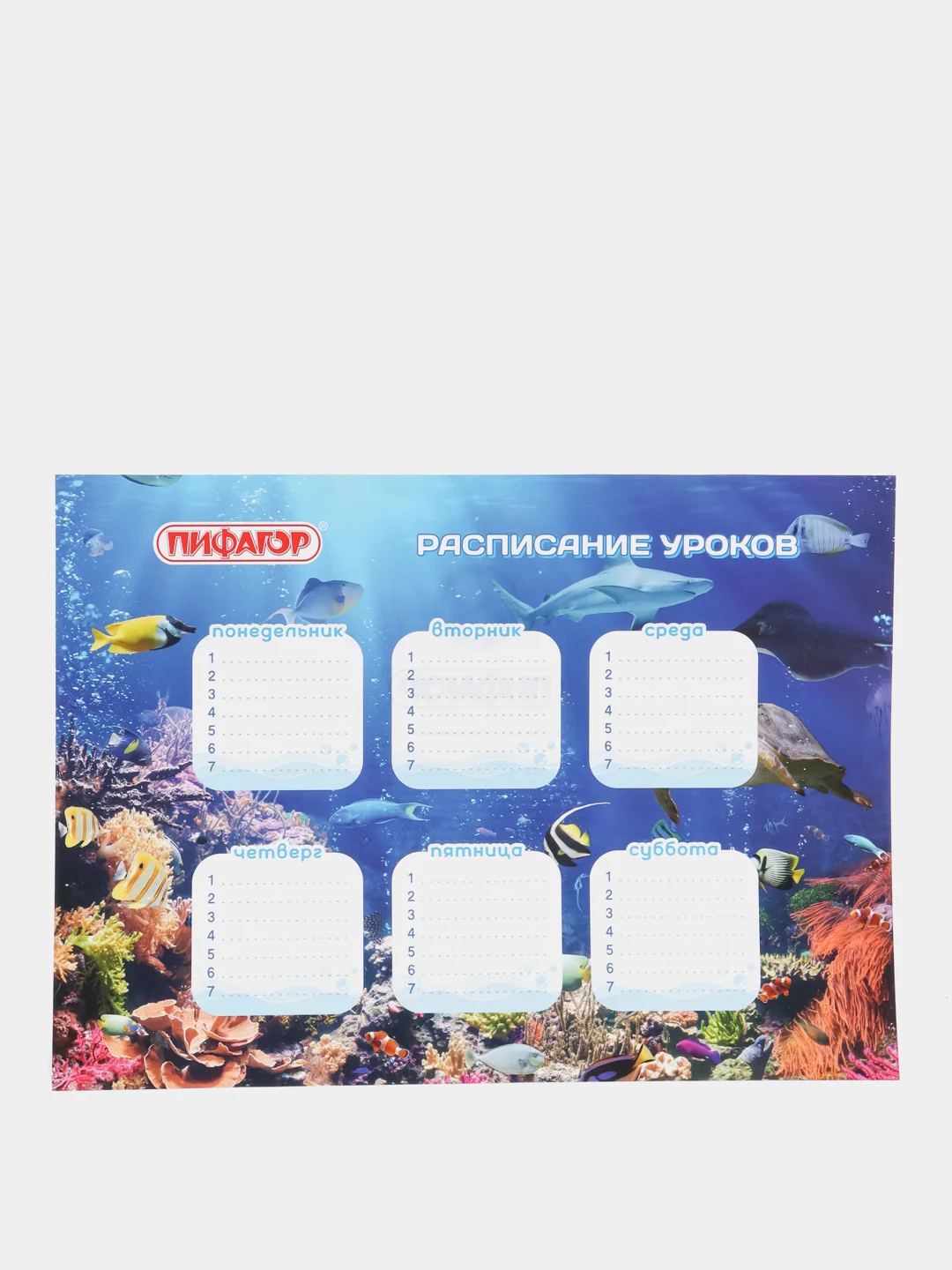 Коралловый расписание уроков на неделю