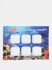 Коралловый расписание уроков на неделю