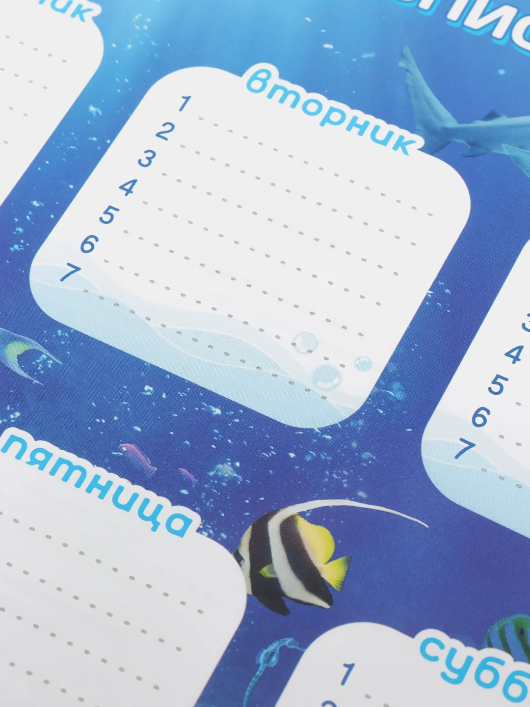Коралловый расписание уроков на неделю