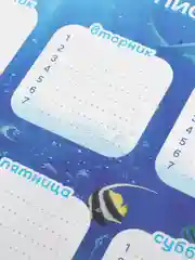 Коралловый расписание уроков на неделю