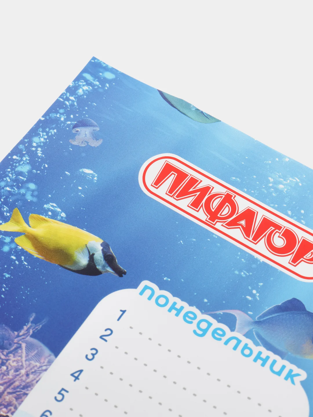 Коралловый расписание уроков на неделю