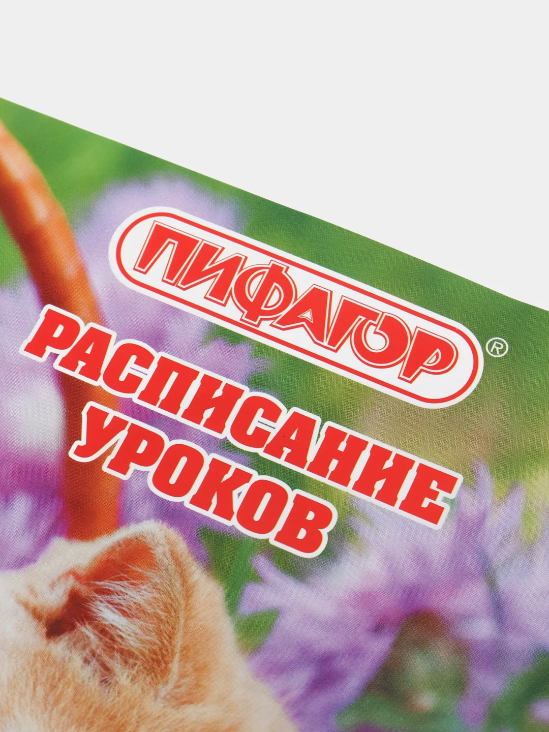 Бежевый расписание уроков на неделю
