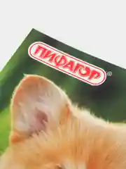 Белый расписание уроков на неделю