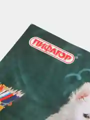 Алый расписание уроков на неделю