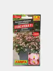 Бегония "Сенсация F1", розовая, зеленолистная, семена