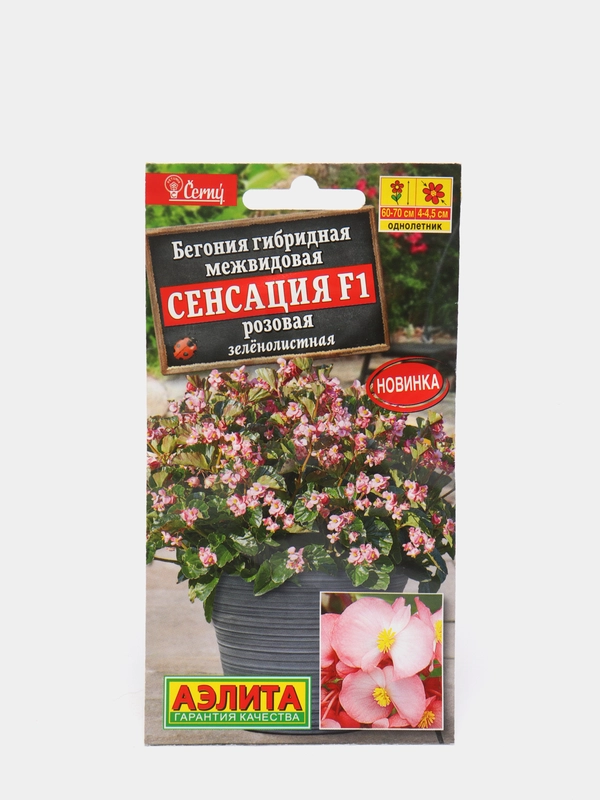 Бегония "Сенсация F1", розовая, зеленолистная, семена
