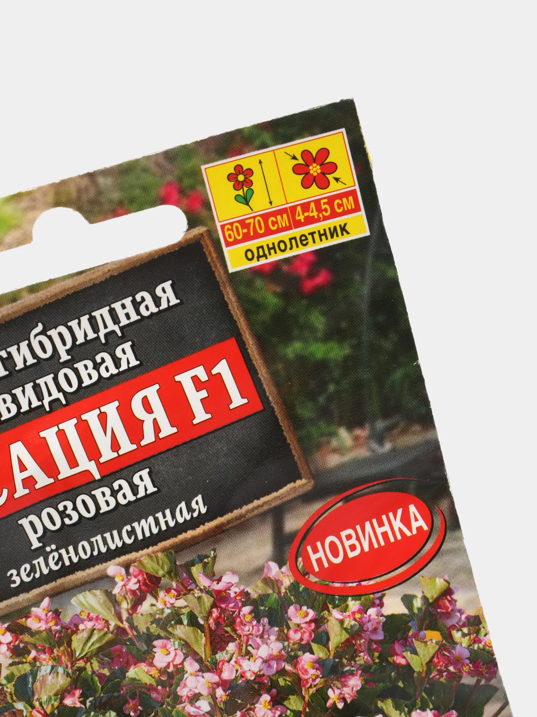 Бегония "Сенсация F1", розовая, зеленолистная, семена