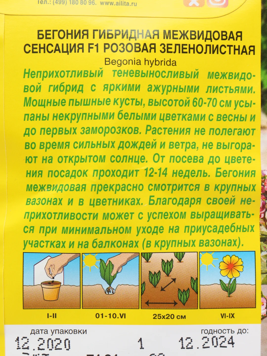 Бегония "Сенсация F1", розовая, зеленолистная, семена