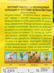 Бегония "Сенсация F1", розовая, зеленолистная, семена