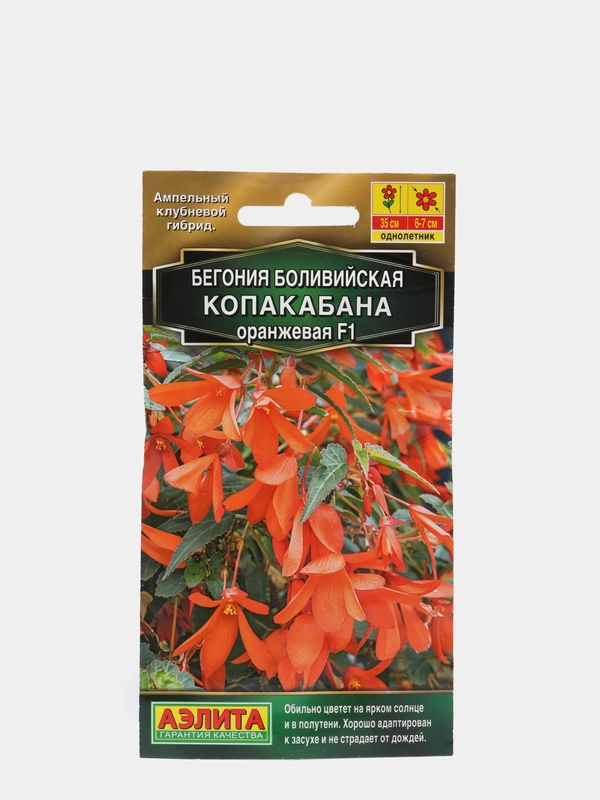 Бегония боливийская "Копакабана F1", оранжевая, 5 штук, семена