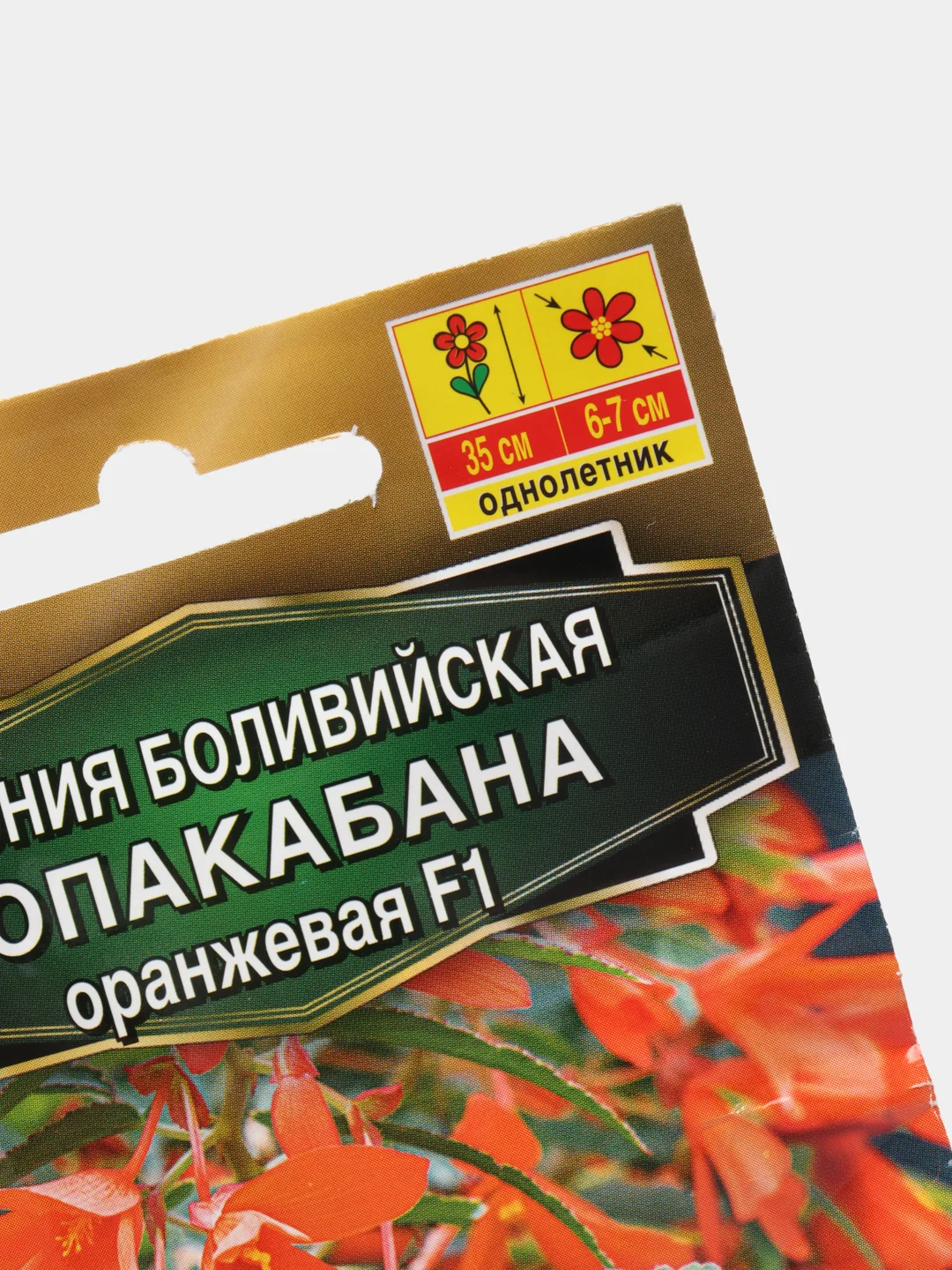 Бегония боливийская "Копакабана F1", оранжевая, 5 штук, семена