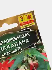Семена Бегония боливийская "Копакабана красная F1", 5 штук