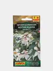 Семена Бегония боливийская "Копакабана белая F1", 5 штук