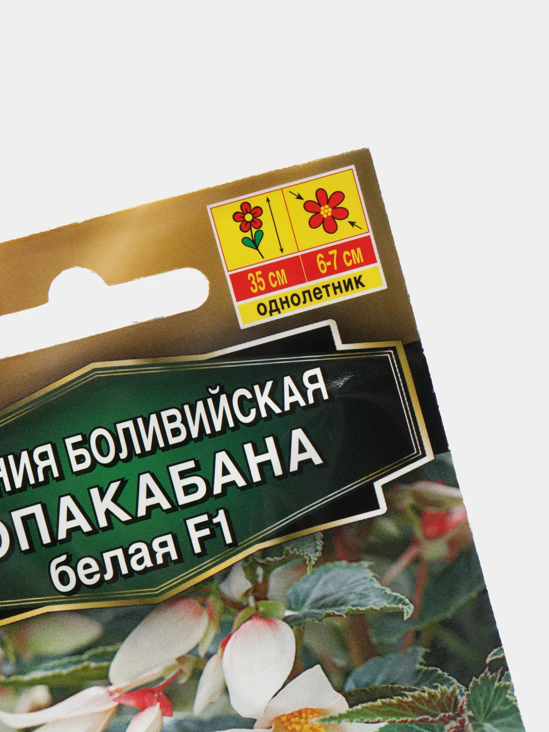 Семена Бегония боливийская "Копакабана белая F1", 5 штук