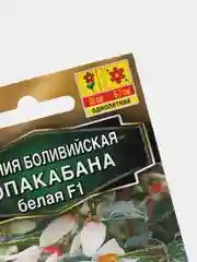 Семена Бегония боливийская "Копакабана белая F1", 5 штук