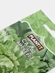 Семена Салат кочанный "Айсберг" набор 1, 3, 5 уп