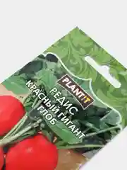 Семена Редис "Красный гигант глоб" набор 1, 3, 5 уп