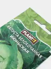 Семена Капуста белокочанная Июньская