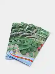 Семена Салат "Руккола ореховая" набор 1, 3, 5 уп