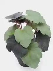 Искусственный цветок