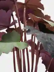 Искусственный цветок