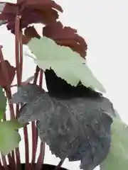 Искусственный цветок