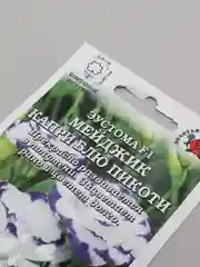 Семена Эустома "Мейджик капри блю пикоти", 1 / 3 / 5 штук