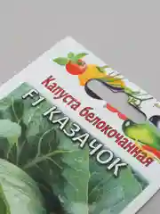 Семена Капуста белокочанная Казачок F1