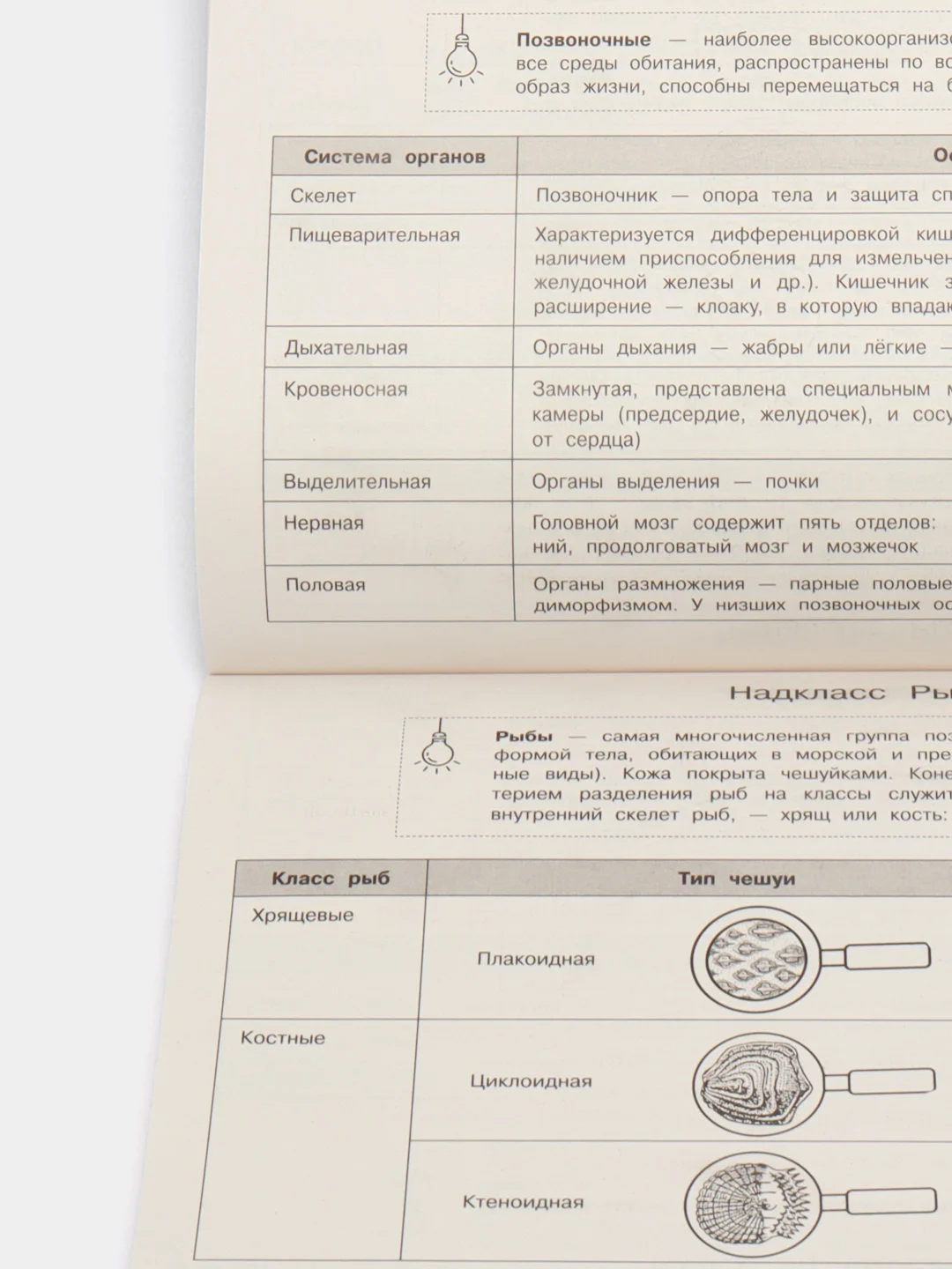 Биология, автор: Мазур О. Ч., Никитинская Т. В.