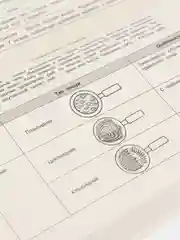 Биология, автор: Мазур О. Ч., Никитинская Т. В.