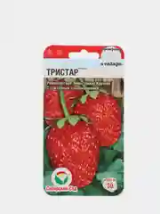 Семена Клубника "Тристар" набор 1, 3, 5 уп
