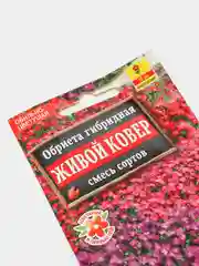 Обриета "Живой ковер" (семена, цветы)