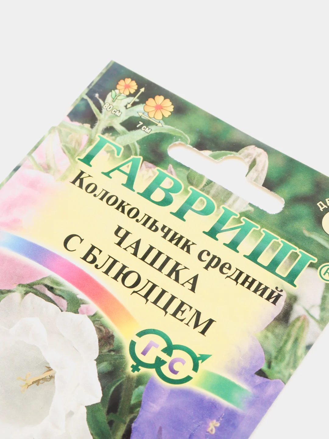 Колокольчик Чашка с блюдцем (семена, цветы)