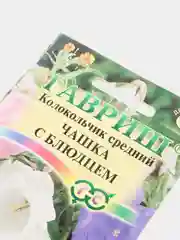 Колокольчик Чашка с блюдцем (семена, цветы)