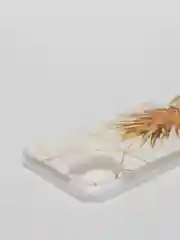Золотой чехол для iPhone 11, принт "Ананасы"