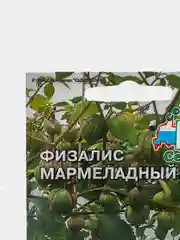 Семена Физалис "Мармеладный", набор 1, 3, 5 упаковок