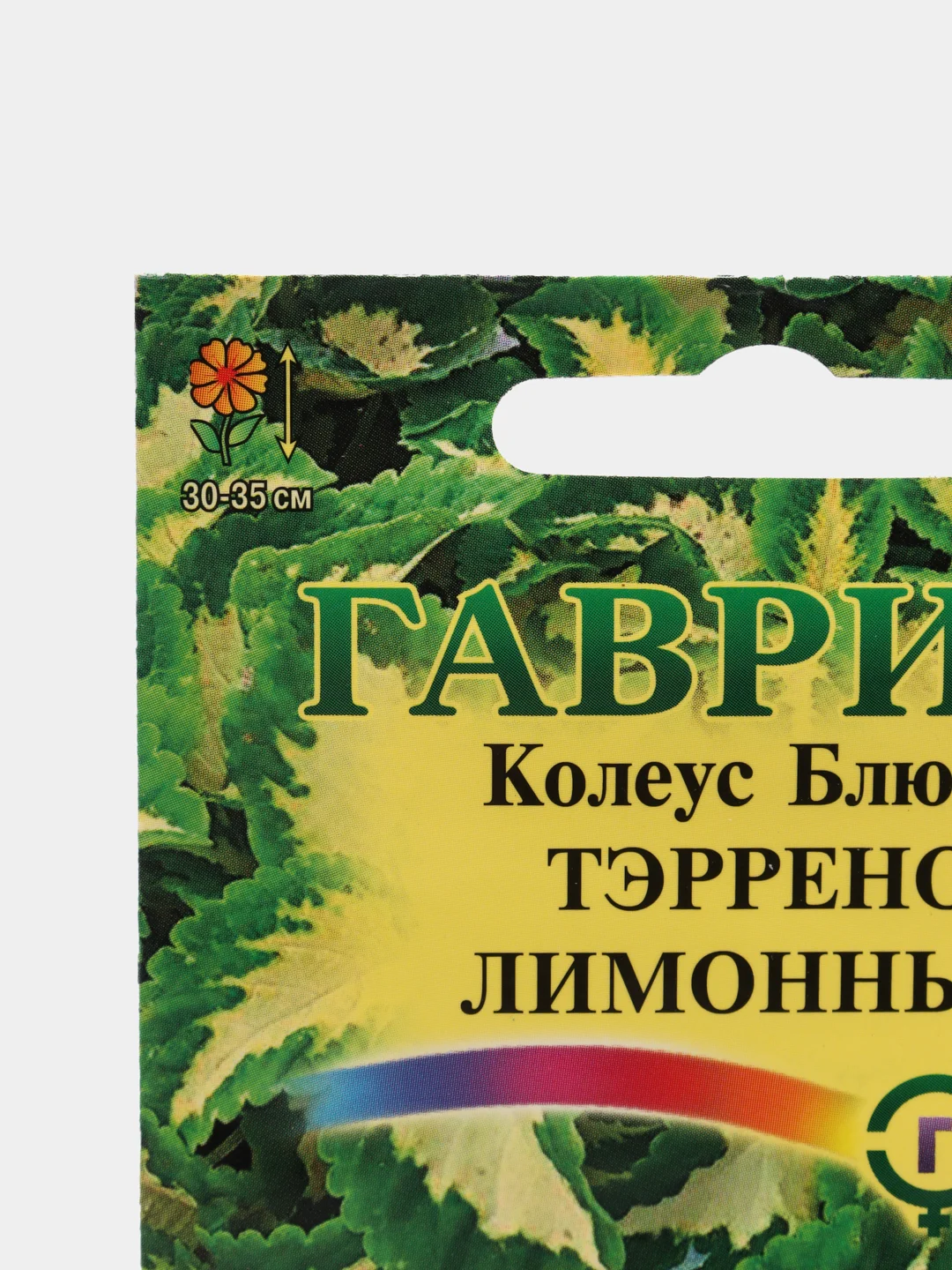 Колеус "Блюме Тэррено лимонный", семена цветов