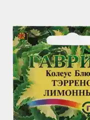 Колеус "Блюме Тэррено лимонный", семена цветов
