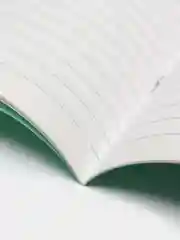 Тетрадь 12 листов, клетка и линейка "Зелёная обложка". Набор 5/10/20 штук. Белизна 95-100%