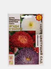 Семена Астра "Ягоды в сахаре", цветы