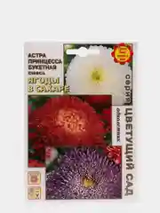 Семена Астра "Ягоды в сахаре", цветы