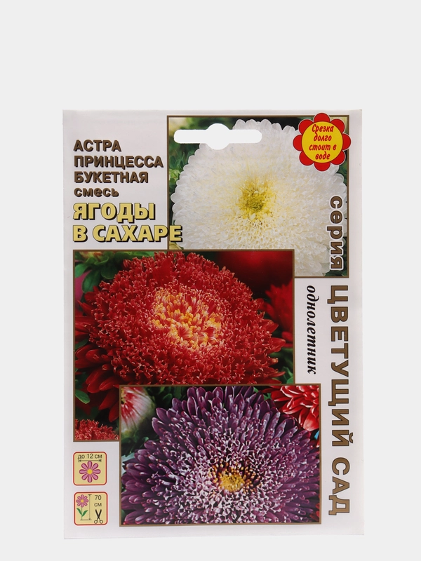 Семена Астра "Ягоды в сахаре", цветы